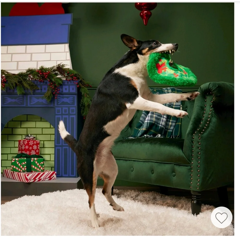 Bark Holiday Wreath Toss Dog Toss